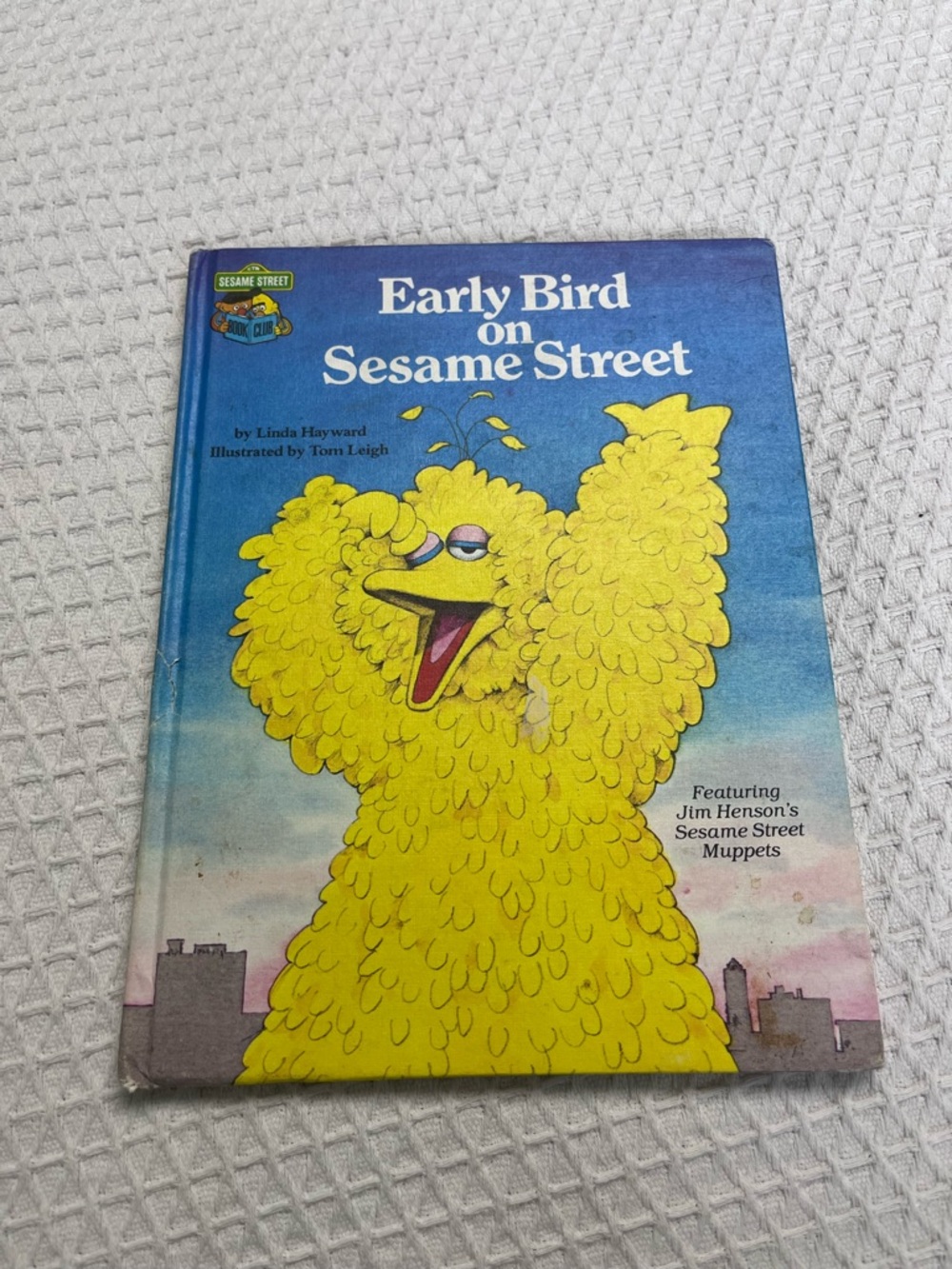 Sesame Street Big Bird Hardcover - Bright Yellow & Blue Cover
